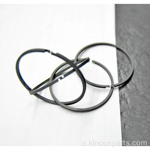 Động cơ Piston Ring HT48